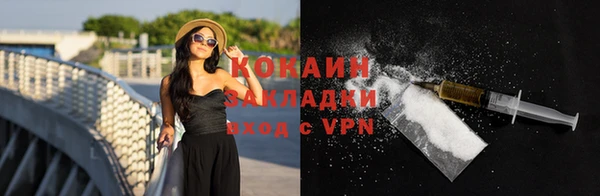 сатива Корсаков
