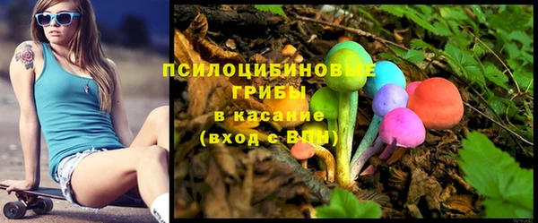 СК Кодинск