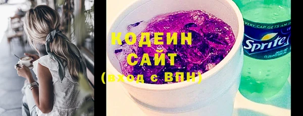 сатива Корсаков