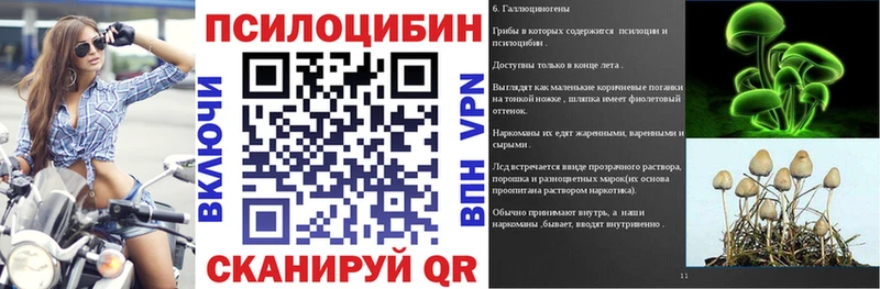 Галлюциногенные грибы GOLDEN TEACHER  купить   дарк нет наркотические препараты  Котово 